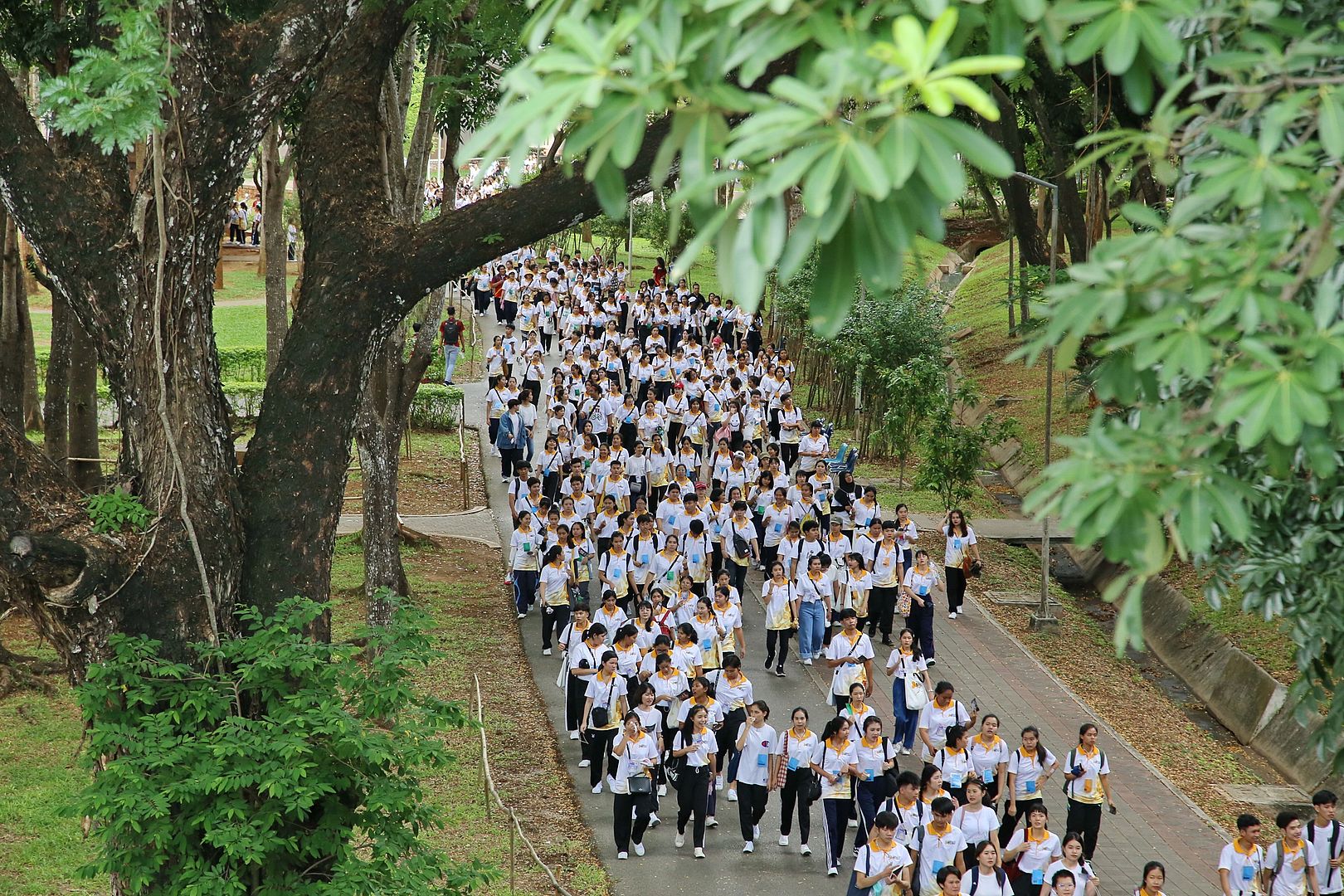 MFU News : walk_rally_2019__4_.JPG
