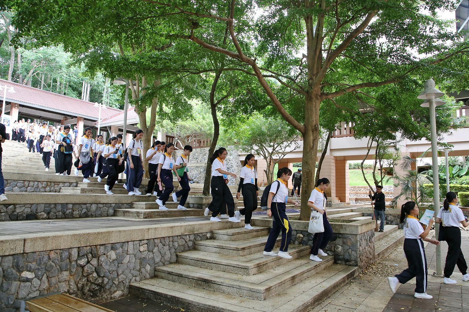 MFU News : walk_rally_2019__7_.JPG