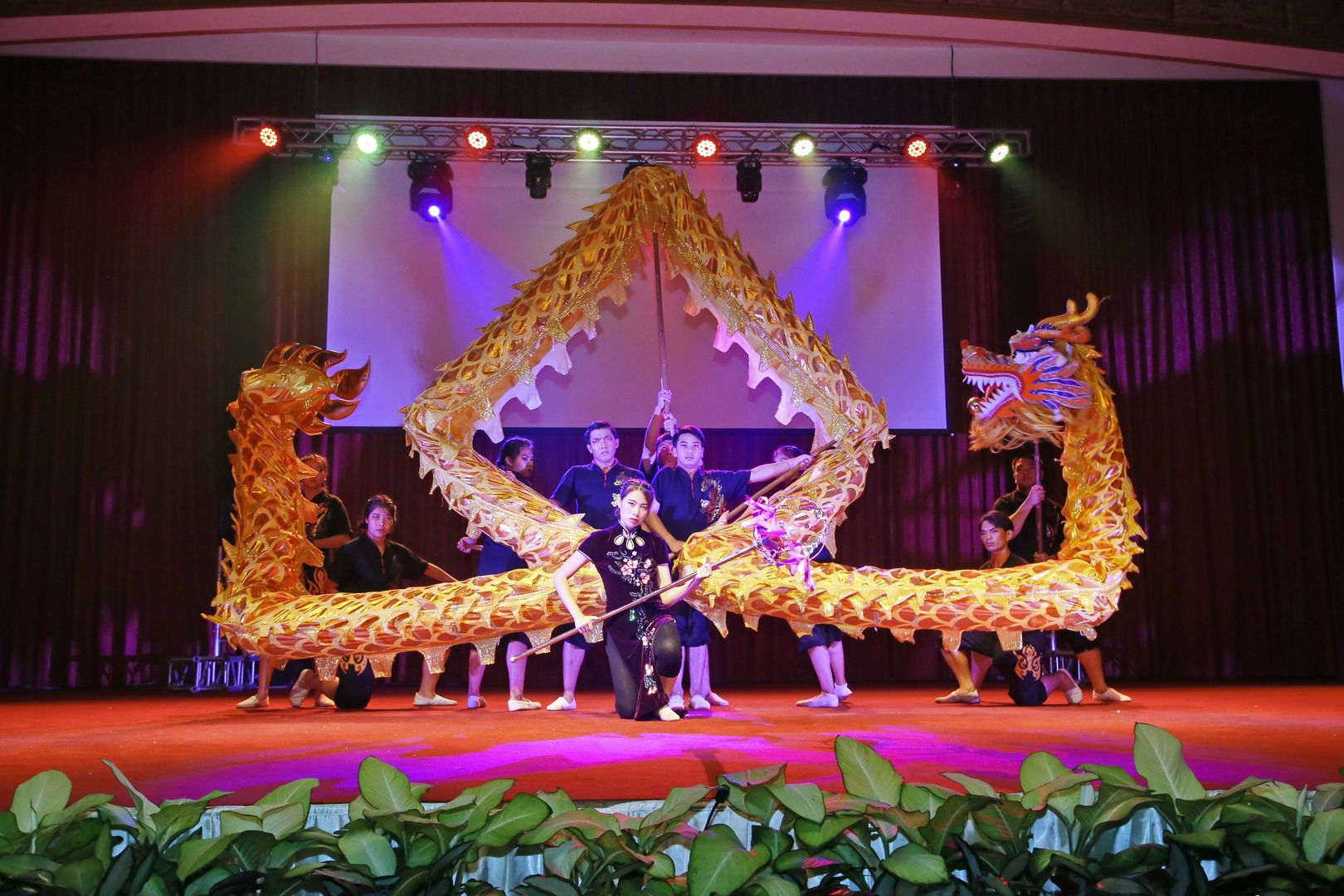 MFU News : Sino_show_4__2_.JPG