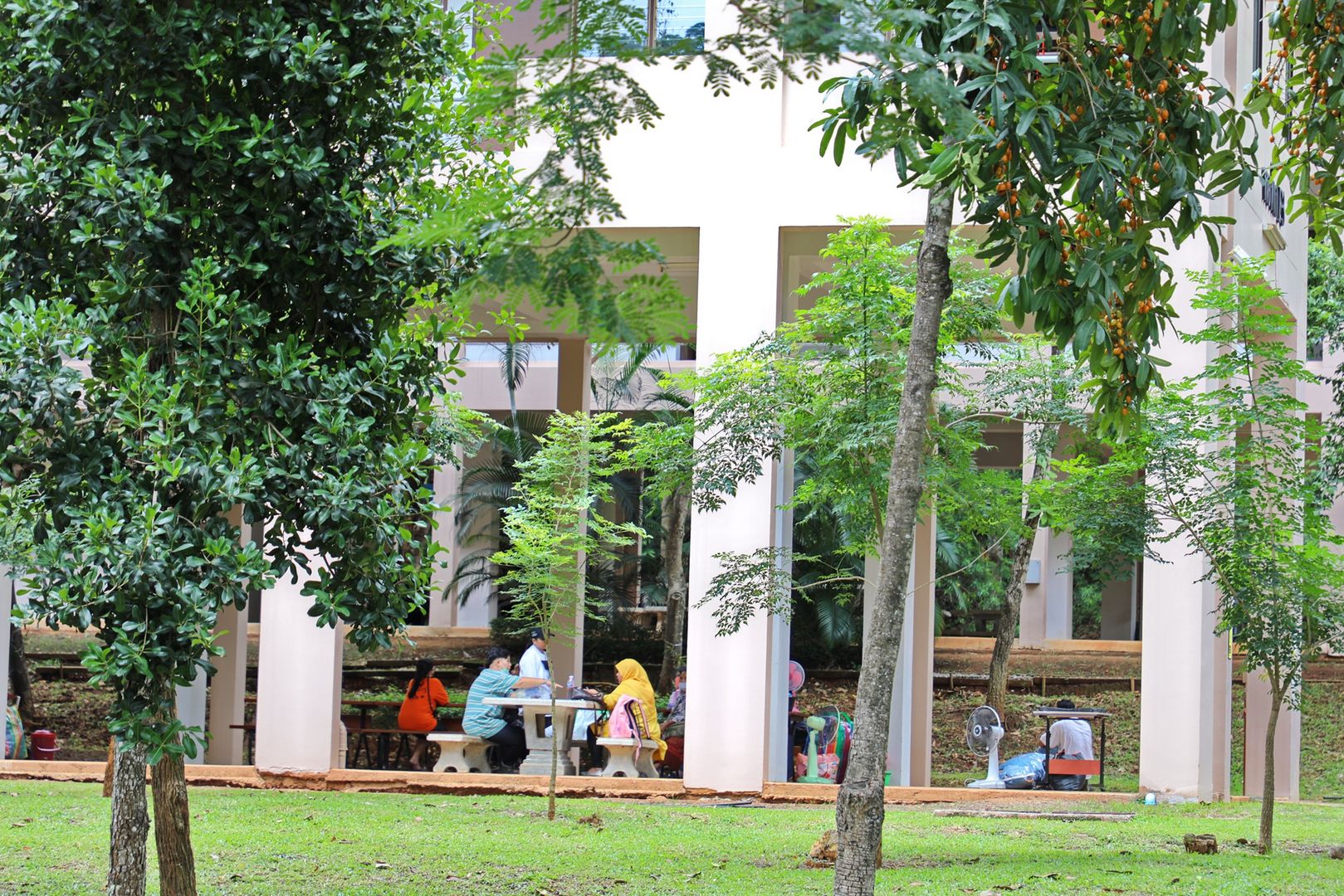 MFU News : Freshers_first_day_2020__13_.JPG