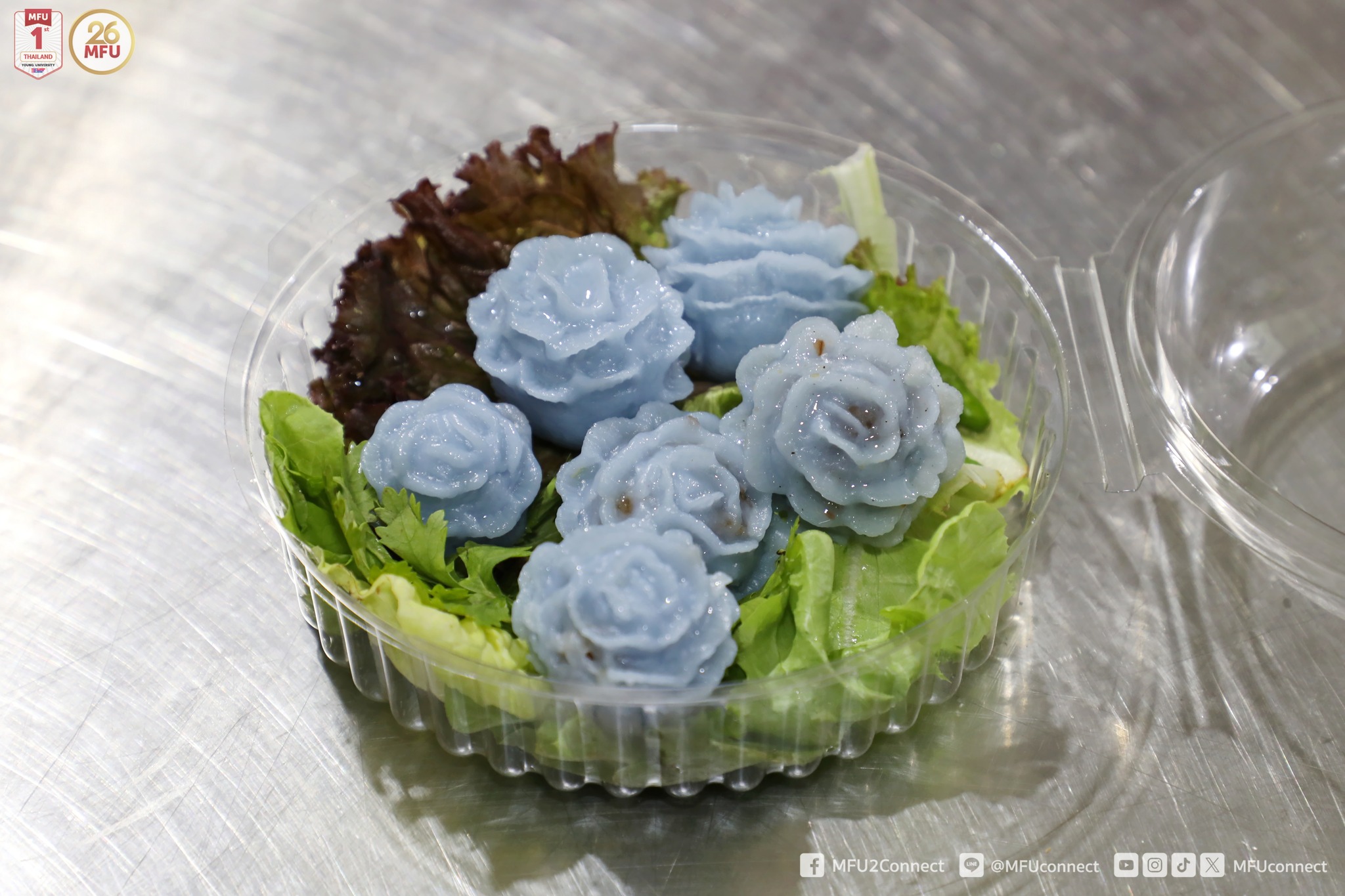 MFU News : Thai_Cooking_Class_2024__8_.jpg