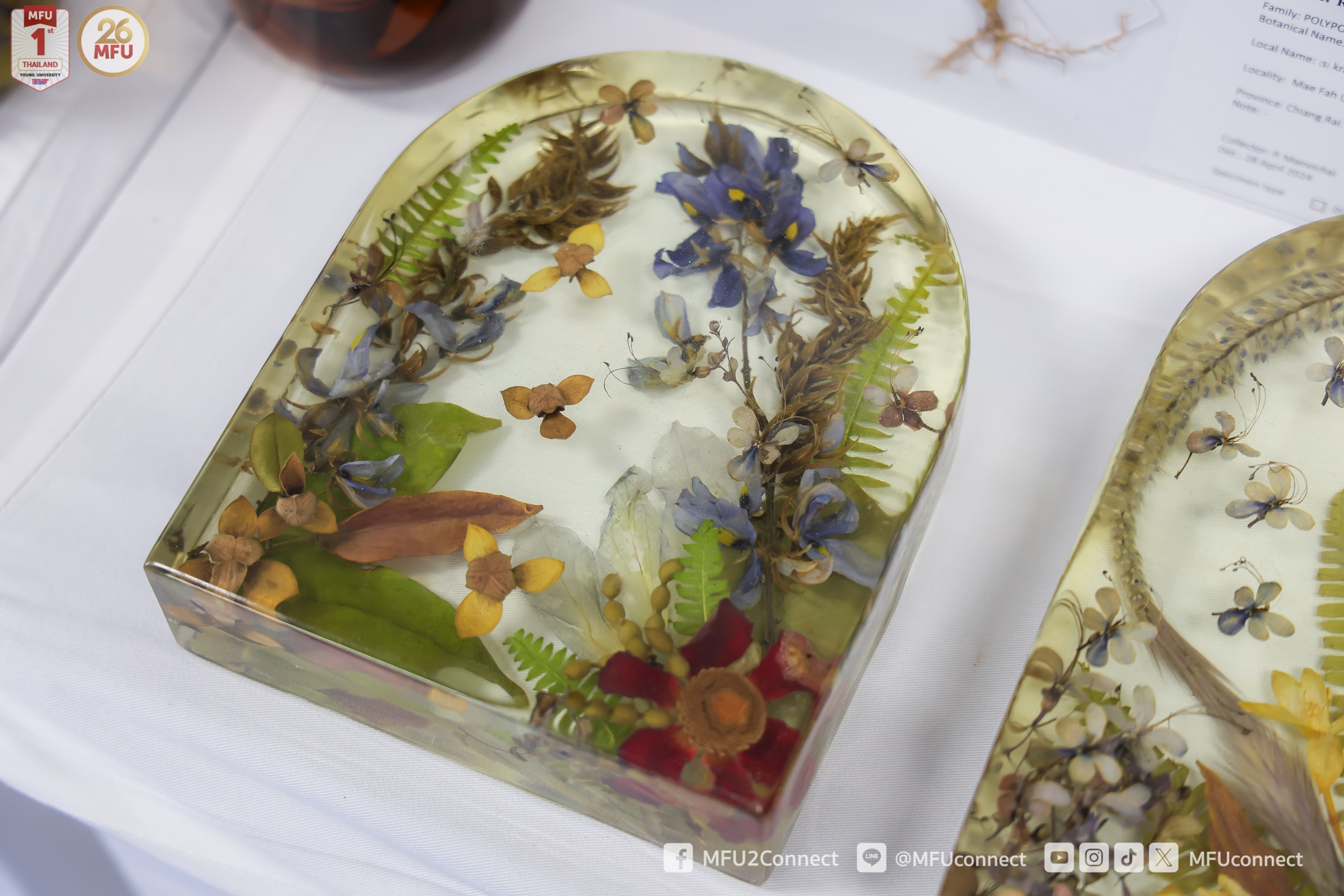 MFU News : MFU_Botanical_Garden_network_workshop__8_.jpg