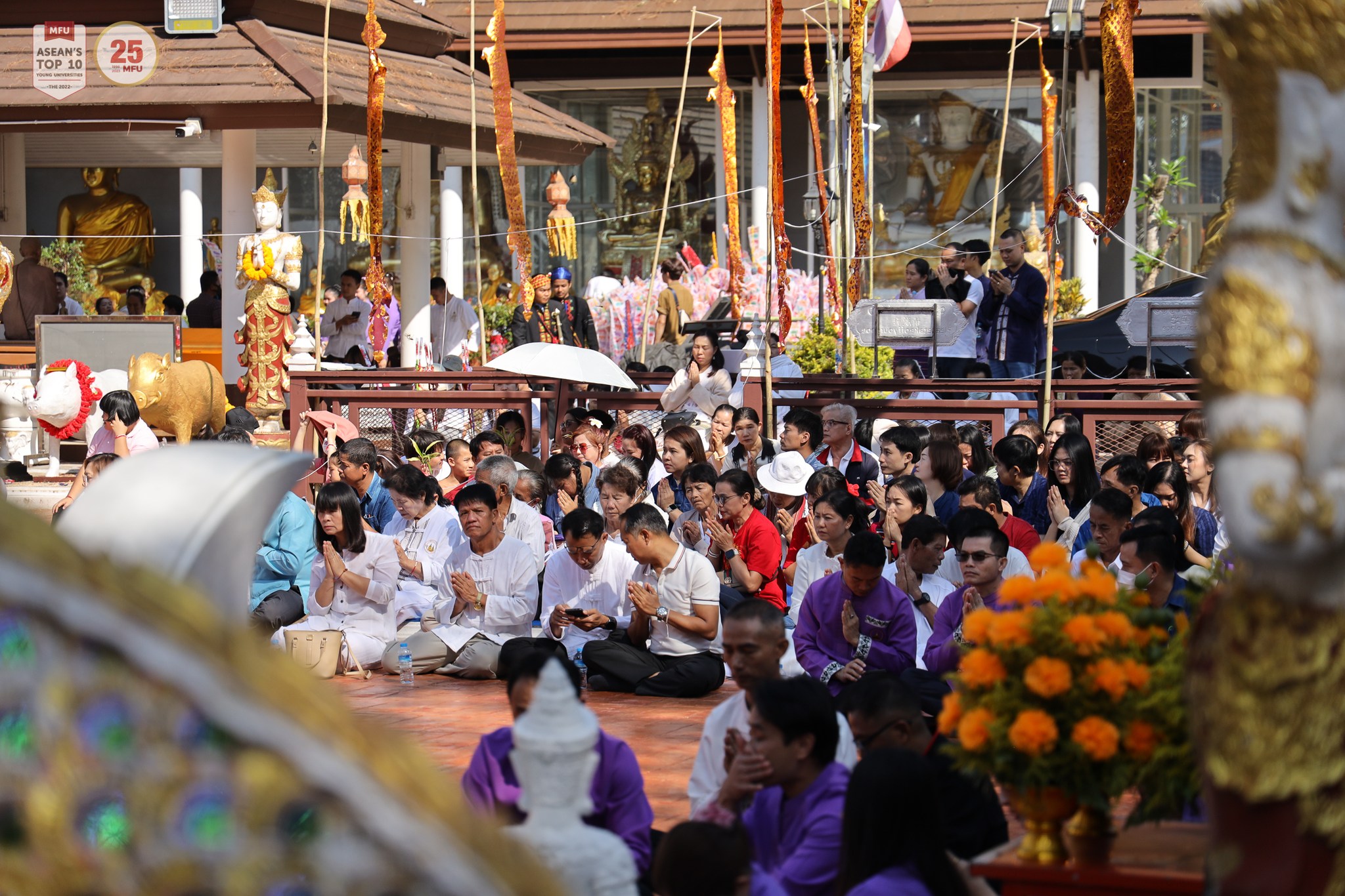 MFU News : Doi_Tung_2567__11_.jpg