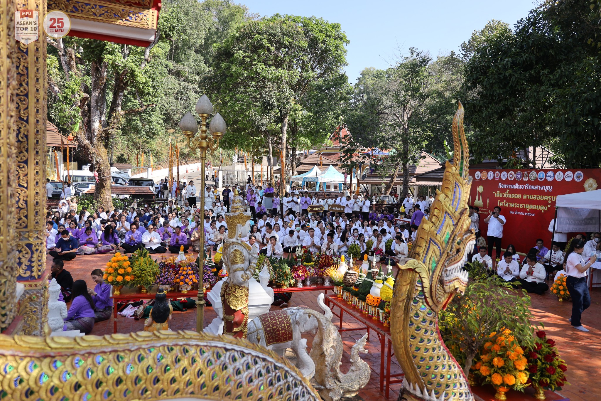 MFU News : Doi_Tung_2567__12_.jpg