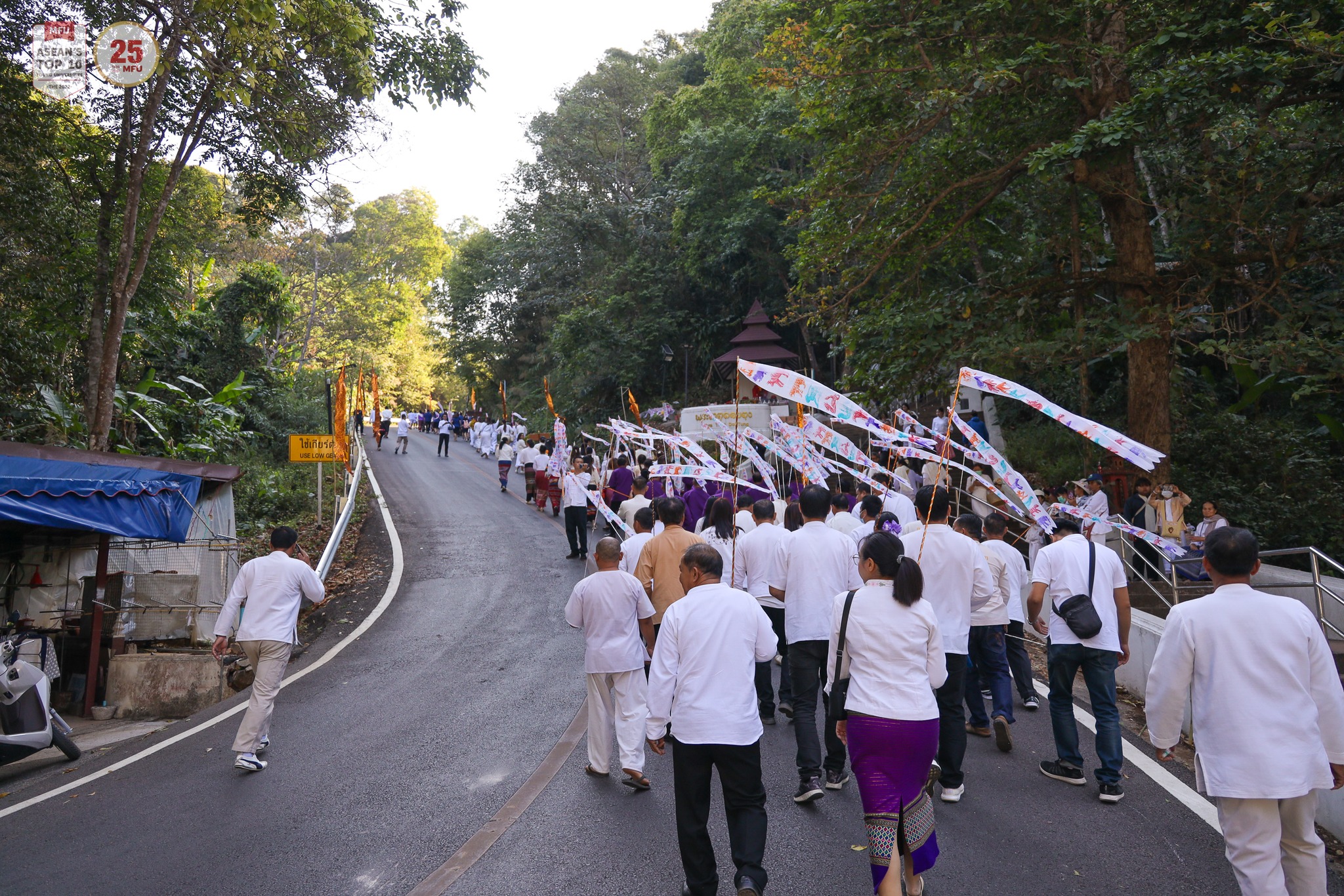 MFU News : Doi_Tung_2567__3_.jpg