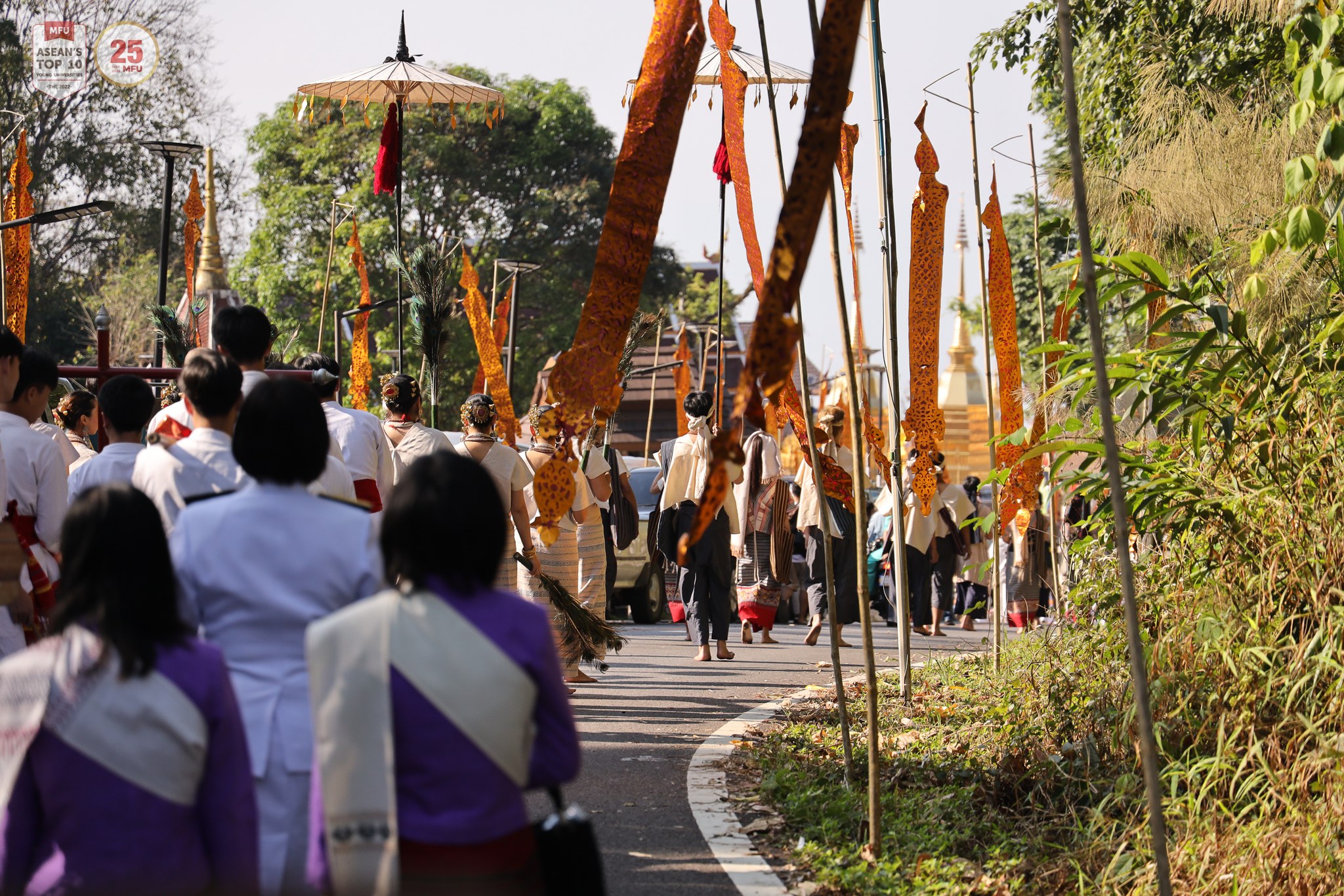 MFU News : Doi_Tung_2567__4_.jpg
