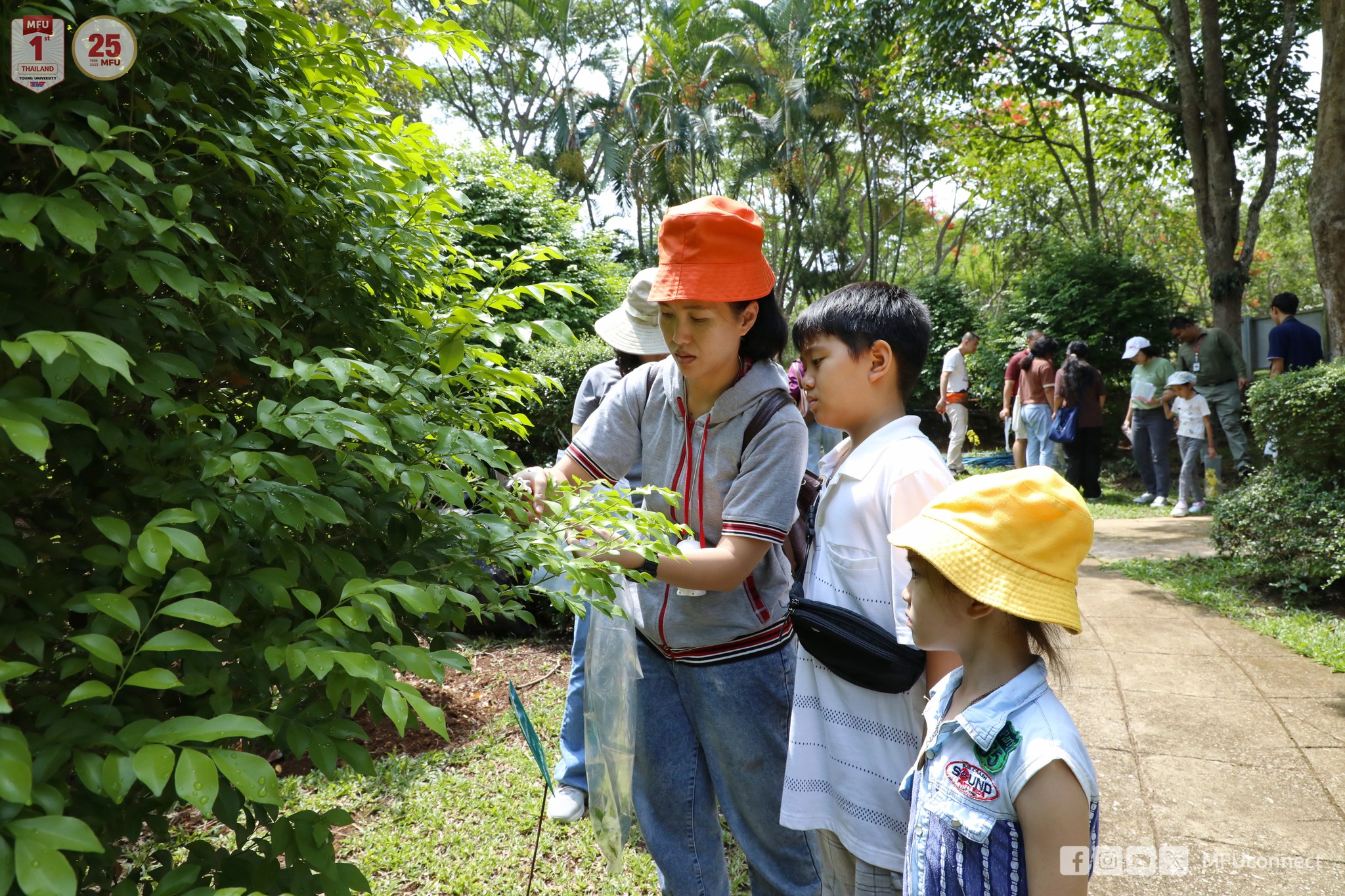 MFU News : Botanical_Garden_Open_house_5__5_.jpg