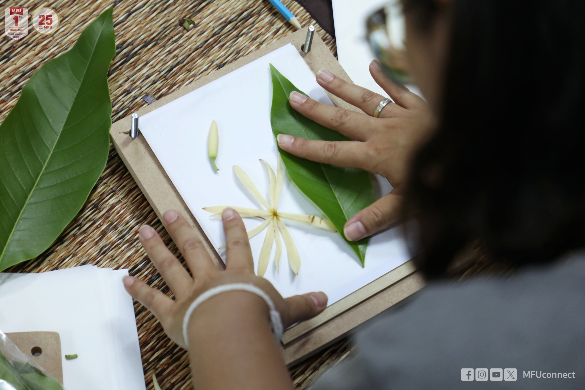 MFU News : Botanical_Garden_Open_house_5__9_.jpg