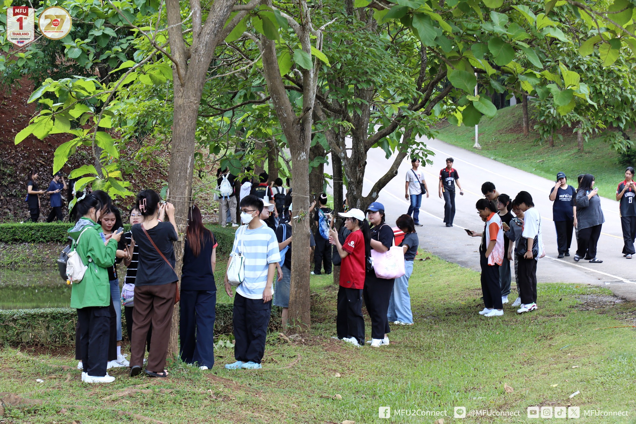 MFU News : Restore_Forest_2025__9_.jpg